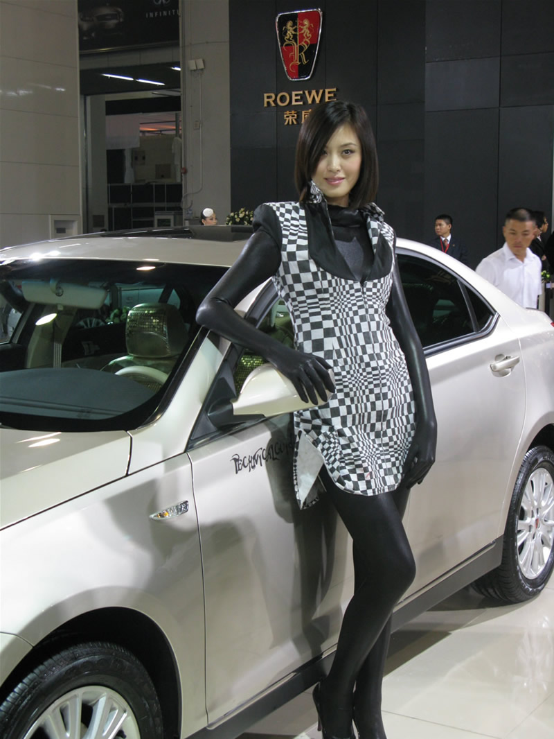Illustration for article titled The Booth Professionals of the 2008 Guangzhou International Auto Show